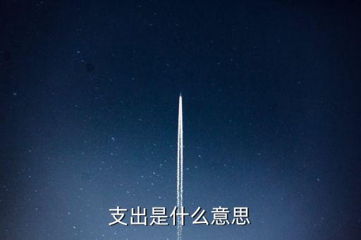 什么是下甩支出，請問會計里面的甩帳是什么意思