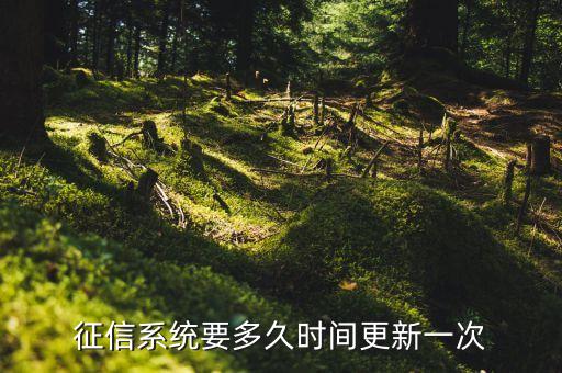 征信系統要多久時間更新一次