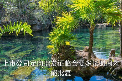 中珠控股定向增發什么時候批下來，上市公司定向增發證臨會要多長時間才能批復