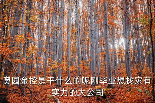 奧園金控是干什么的呢剛畢業想找家有實力的大公司