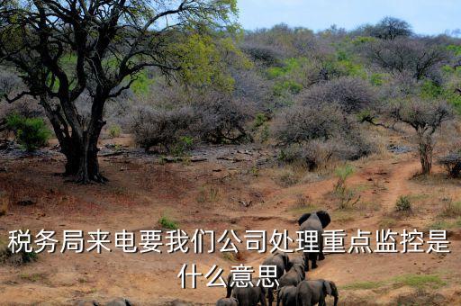 稅務局來電要我們公司處理重點監控是什么意思