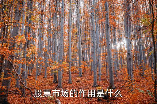 股票交易市場(chǎng)有什么意義，股票市場(chǎng)的作用是什么