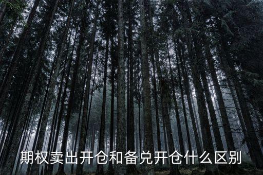 個股期權(quán)賣出開倉什么意思，賣出開倉是咋意思