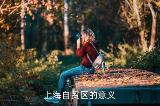 上海自貿區的意義