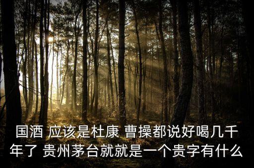 為什么不拿杜康當國酒，為什么杜康酒沒有成為中國十大名酒之一