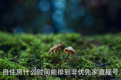 自住房什么時間能排到非優先家庭搖號