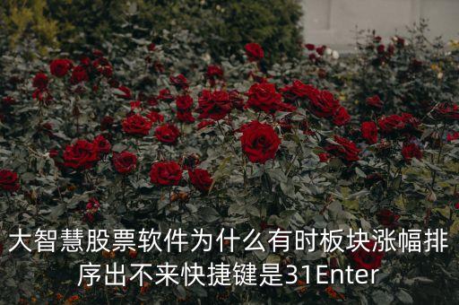 板塊排不按什么鍵，大智慧股票軟件為什么有時(shí)板塊漲幅排序出不來(lái)快捷鍵是31Enter