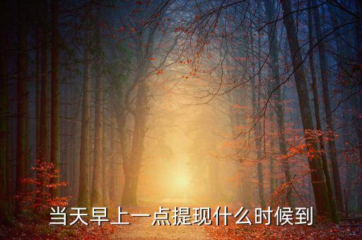 海納幣什么時候提現，你們那里說什么時候可以提現嗎