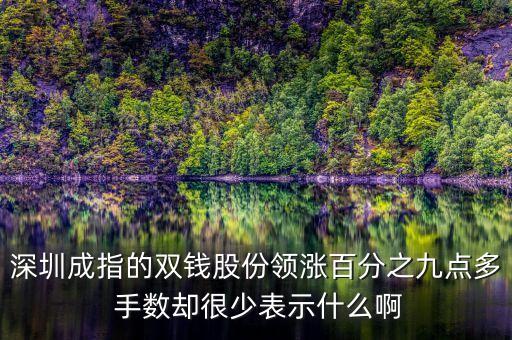 雙錢股份是什么公司，深圳成指的雙錢股份領漲百分之九點多 手數卻很少表示什么啊