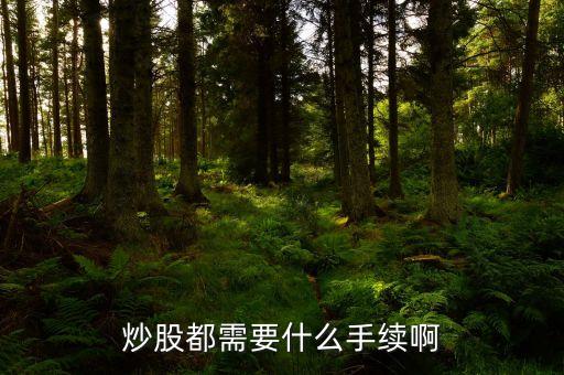 炒股都需要什么手續啊