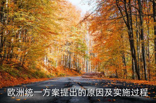 歐洲統一方案提出的原因及實施過程