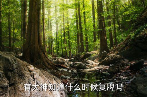 有大神知道什么時候復牌嗎