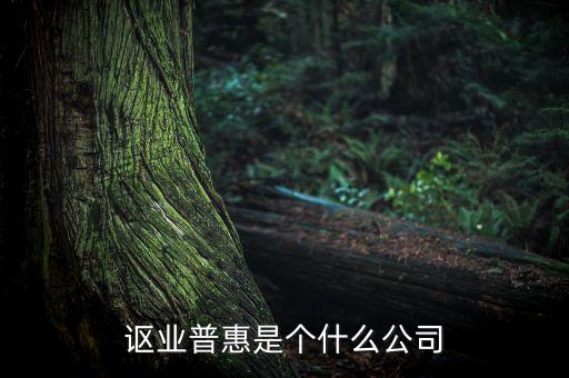 謳業普惠是個什么公司