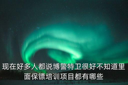 現在好多人都說博警特衛很好不知道里面保鏢培訓項目都有哪些