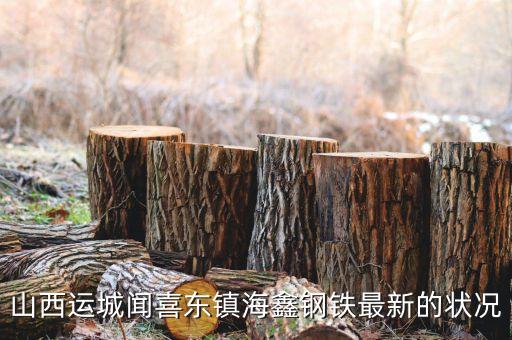 海鑫什么時候破產，山西運城聞喜東鎮海鑫鋼鐵最新的狀況
