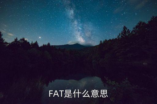 fatca指什么，FAT是什么意思