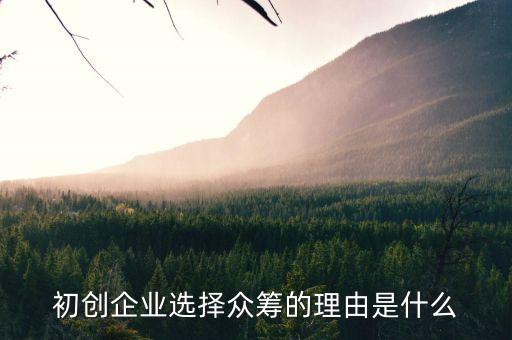 初創企業選擇眾籌的理由是什么