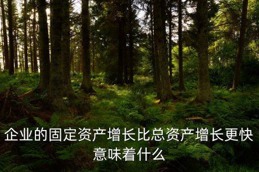 固定資產增長說明什么，流動資產固定資產長期投資都增加從公司資產規模及變動趨勢