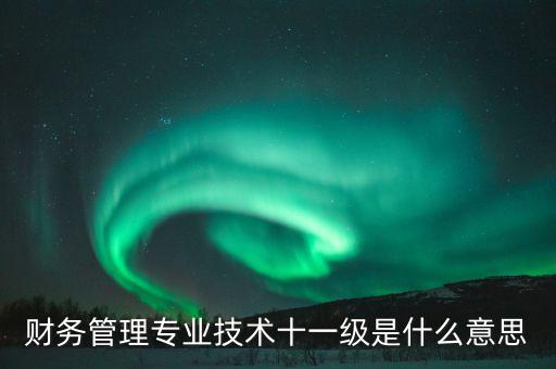 財務管理專業技術十一級是什么意思