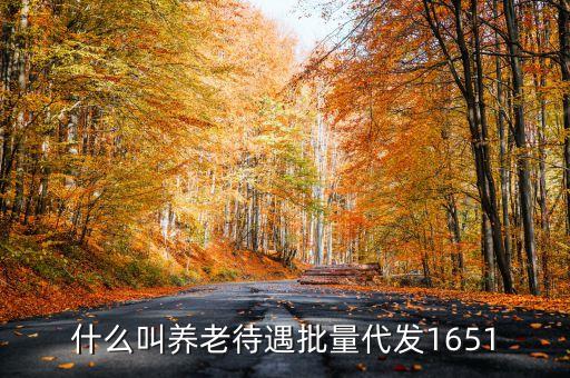 什么叫代發養老金，養老金代發機構是指什么
