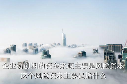 企業初創期的資金來源主要是風險資本這個風險資本主要是指什么
