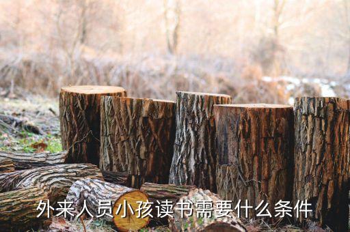 非洲人到中國讀書需要什么條件呢，外地人在本地學校讀書要符合什么條件
