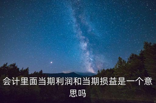 當期利潤是指什么意思，當期利潤當期應付利息等等中的當期是什么含義