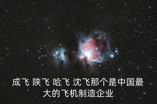 成飛 陜飛 哈飛 沈飛那個是中國最大的飛機制造企業
