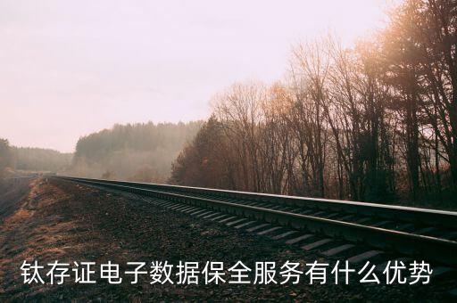 鈦存證電子數據保全服務有什么優勢