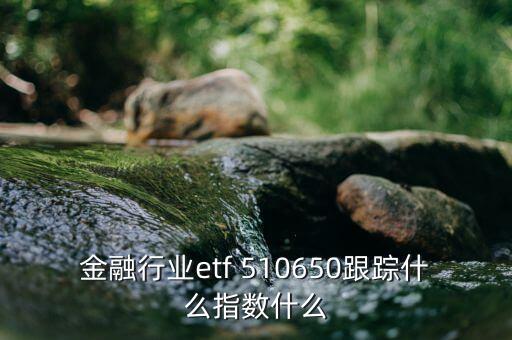 金融行業etf 510650跟蹤什么指數什么