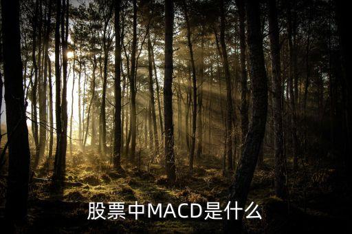 股市MACD線是什么意思，股票中MACD是什么意思