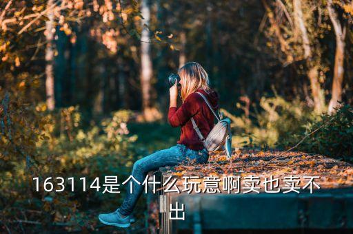 163114是個(gè)什么玩意啊賣(mài)也賣(mài)不出
