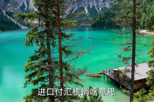 什么是進口付匯核銷制，什么叫進口付匯核銷