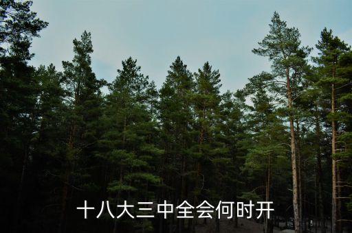 十八屆三中全會什么時(shí)候開，十八大三中全會何時(shí)開