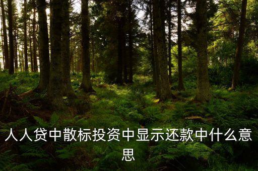 散標是什么意思，散標是什么
