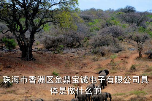 珠海市香洲區金鼎寶誠電子有限公司具體是做什么的