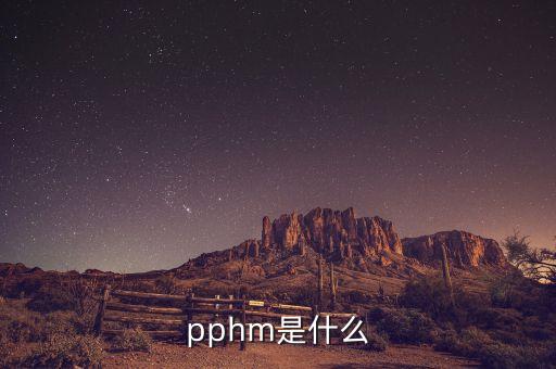 安迅思是什么，biche是什么意思
