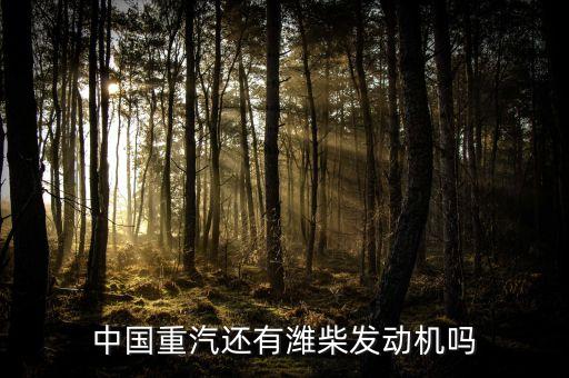 中國重汽還有濰柴發動機嗎