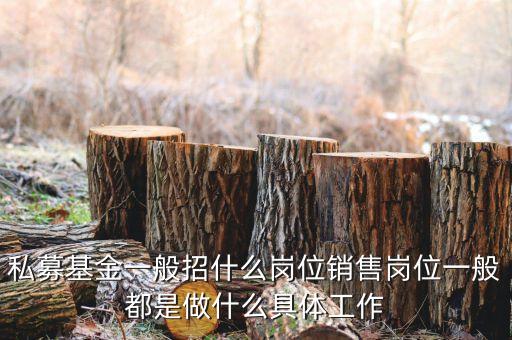 私募公司的市場部做什么，投資公司的市場部職員主要做什么