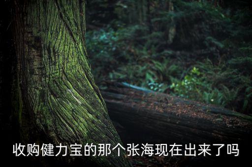 收購健力寶的那個張海現在出來了嗎