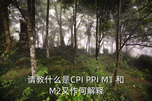 m2指數是什么，請教什么是CPI PPI M1 和 M2又作何解釋
