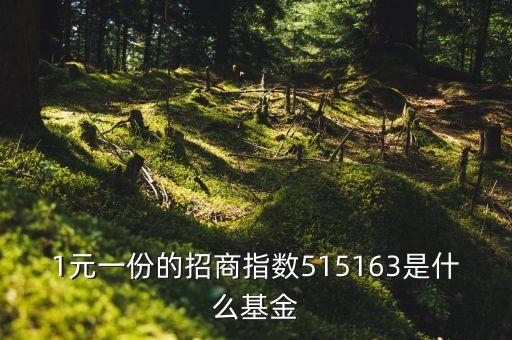 1元一份的招商指數515163是什么基金
