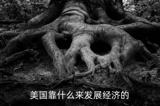 美國經濟靠什么，美國靠什么來發展經濟的