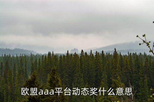 歐盟aaa現在什么情況，歐盟AAA開了多久穩定嗎