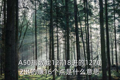 a50指數1510是什么，A50指數我12718進的12702出的賺16個點是什么意思