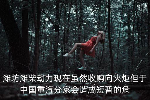 重汽為什么沒有濰柴了，中國重汽還有濰柴發動機嗎