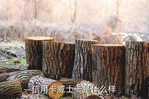 威士白金信用卡是什么，中銀威士白金信用卡中銀萬事達白金信用卡中銀銀聯白金信用卡
