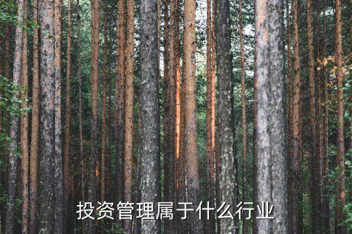 投資管理屬于什么行業