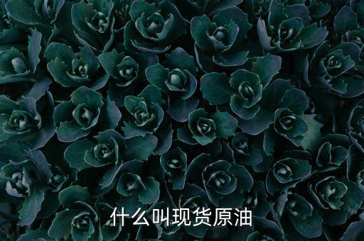 什么叫現貨原油