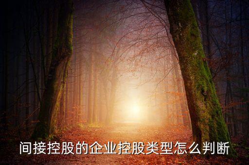 間接持股是什么意思，間接是什么意思